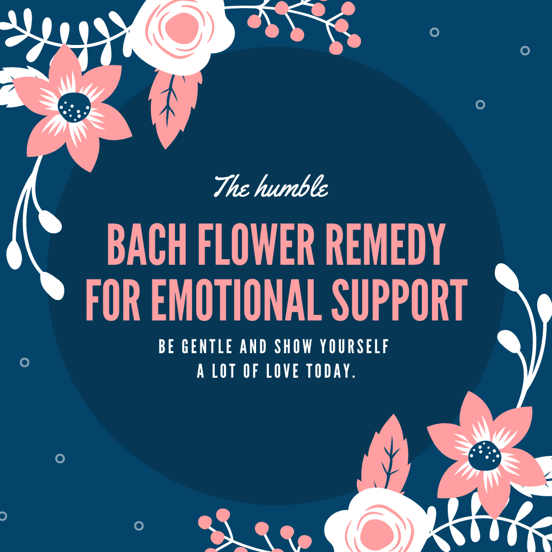 Bach flower