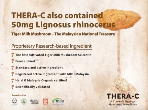Thera-C – Curcumin + Tiger Milk Mushroom Complex