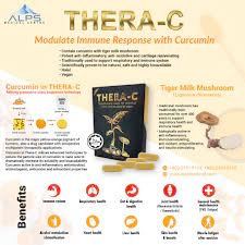 Thera-C – Curcumin + Tiger Milk Mushroom Complex