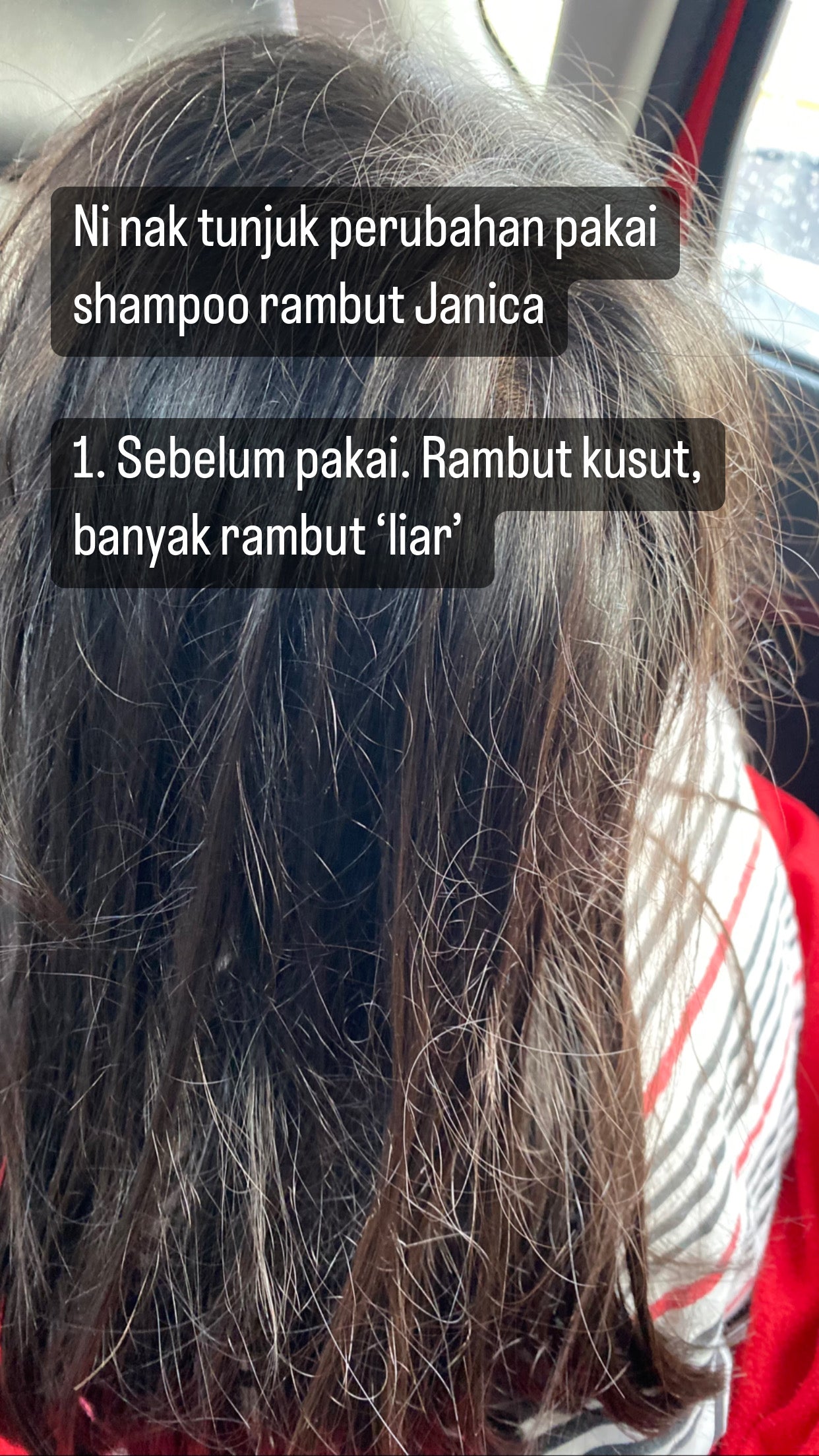 Janica Syampu Rambut Homemade